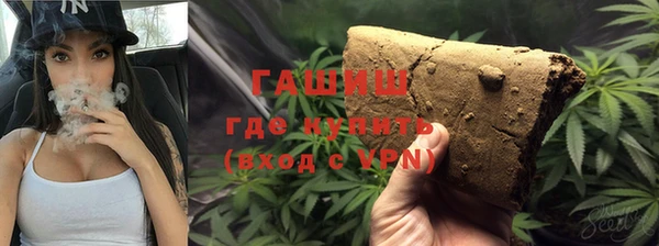 гашик Коряжма