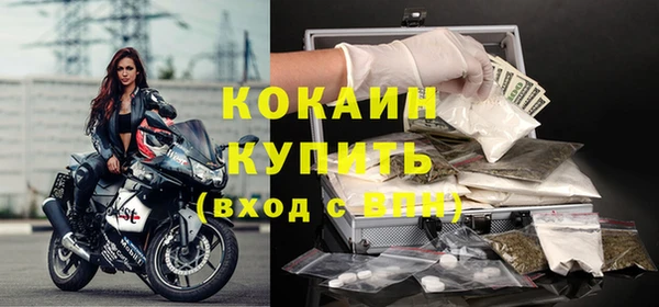 гашик Коряжма