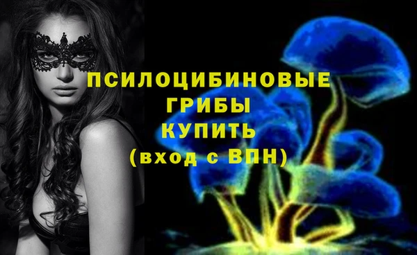 дурь Кодинск