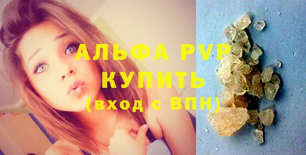 гашик Коряжма