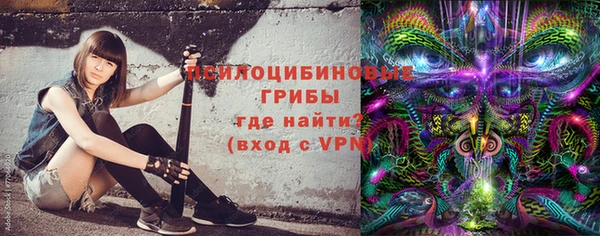 гашик Коряжма