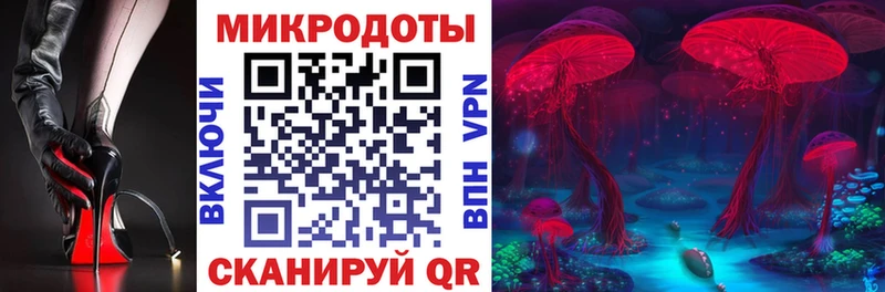 где можно купить   Краснозаводск  Псилоцибиновые грибы мухоморы 